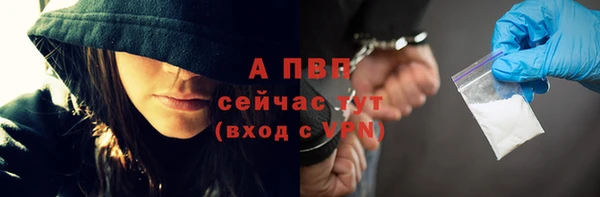 гашиш Богданович