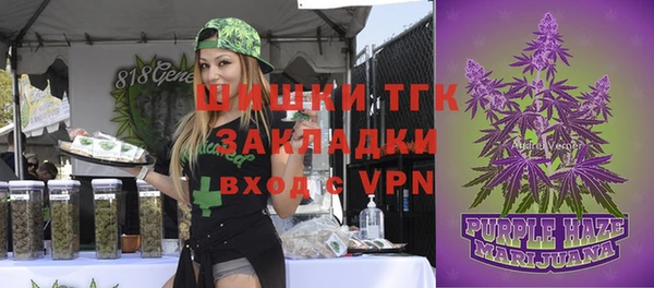 бутират Богородицк