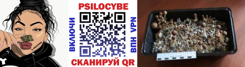 где продают   Бугульма  Галлюциногенные грибы ЛСД 